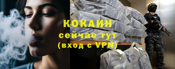 PSILOCYBIN Киренск