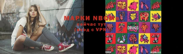 стаф Кинешма