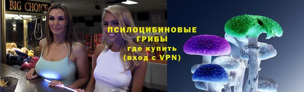 PSILOCYBIN Киренск