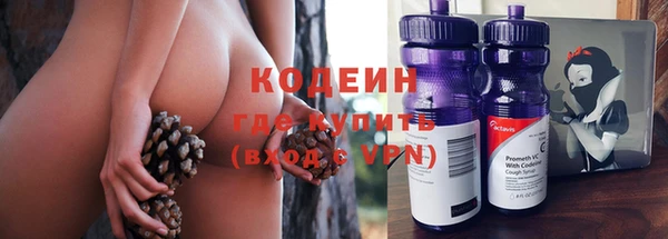 стаф Кинешма