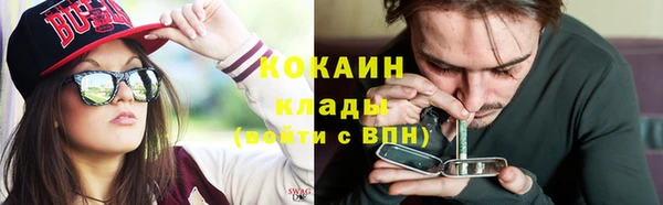 стаф Кинешма
