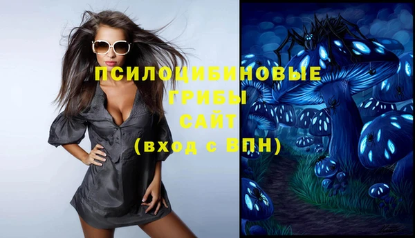 стаф Кинешма