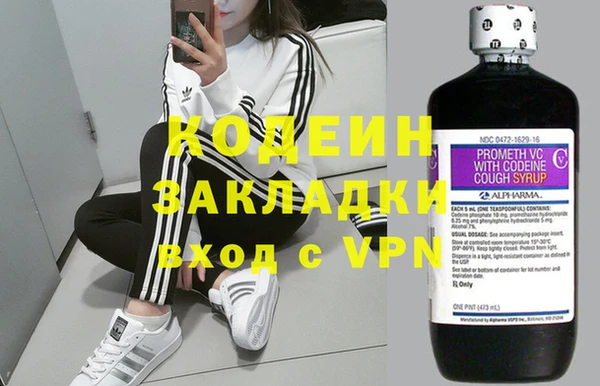 стаф Кинешма