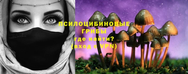 стаф Кинешма